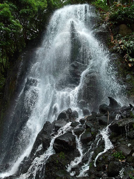istock cascade at the Azores 176861752