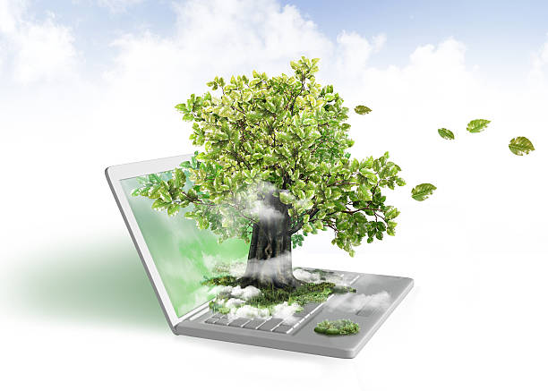 Green energy from laptop stock photo