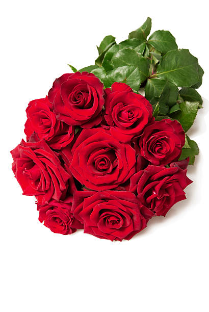 ローズ白背景 - dozen roses rose flower arrangement red ストックフォトと画像