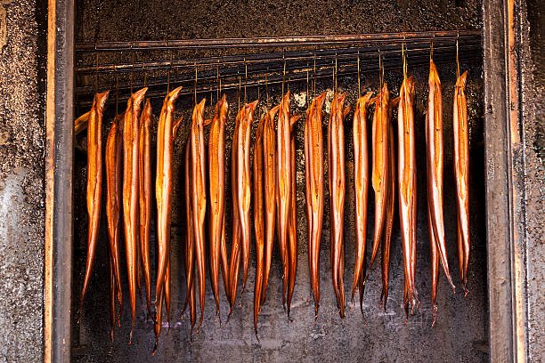 anguille fumée - saltwater eel photos et images de collection