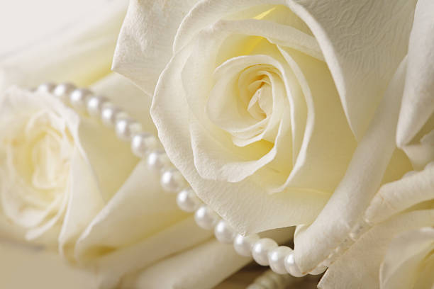 istock Pearl beads and cream rose 176863140
