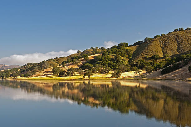 Uvas Reservatório reflexo - foto de acervo