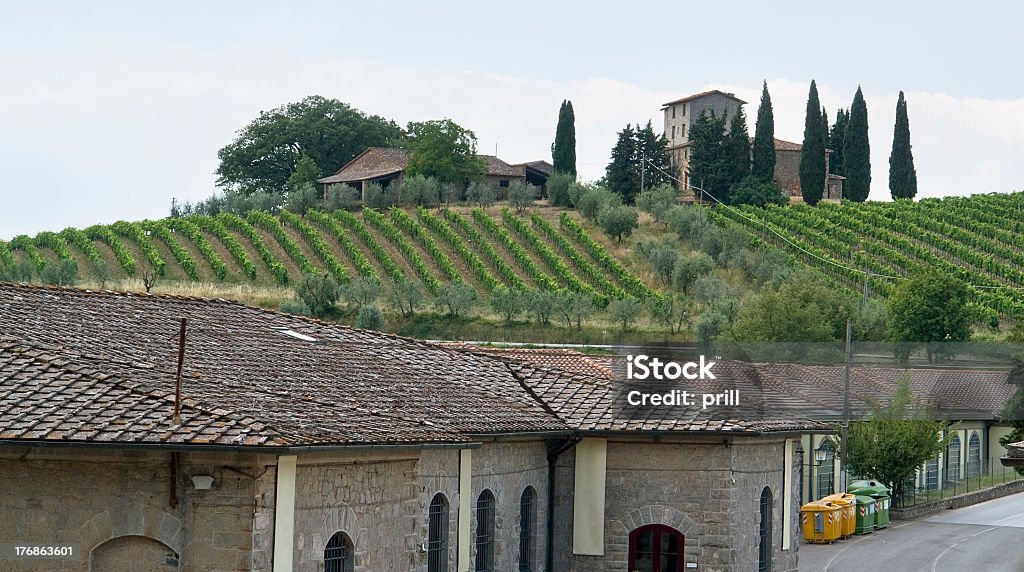 San Regolo in Chianti scenery around a small town named San Regolo in the Chianti region (Tuscany, Italy) Agriculture Stock Photo