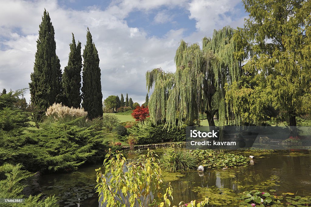 얕은 연못 및 꽃 - 로열티 프리 0명 스톡 사진