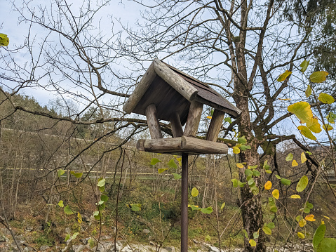 Деревянная кормушка для птиц и белок в лесу на фоне неба.