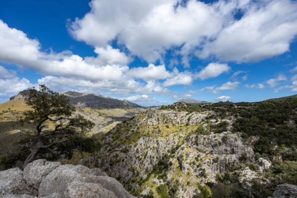 istock A way of Tramuntana Mountains 1768642736
