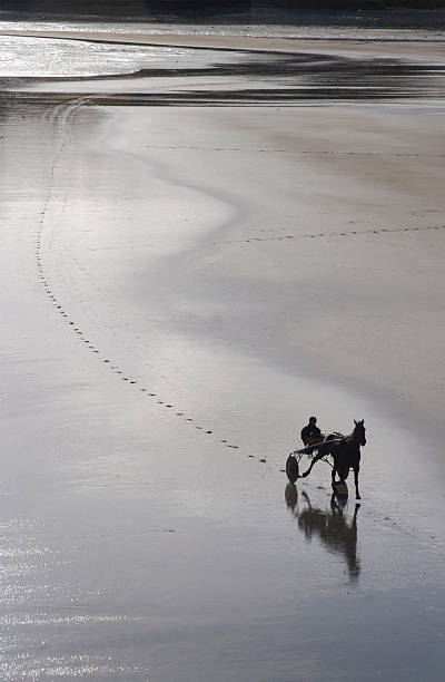 istock Horse and Trap cross the beach 176864493