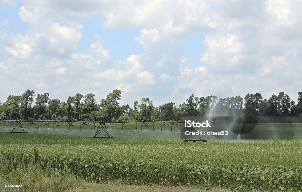 Irrigating a Soybean Field Sprayer irrigating a farm field of soybeans Crop Sprayer Stock Photo