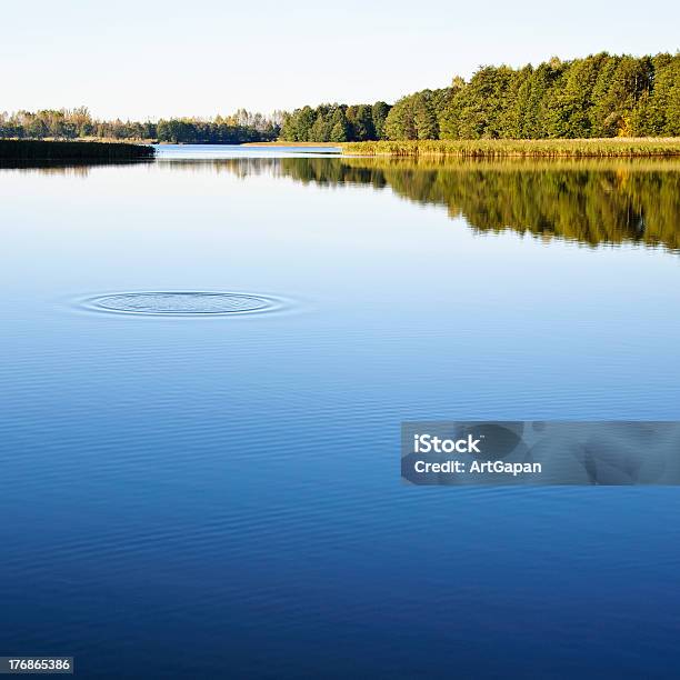 Lago Del Bosque Foto de stock y más banco de imágenes de Agua - Agua, Azul, Belleza