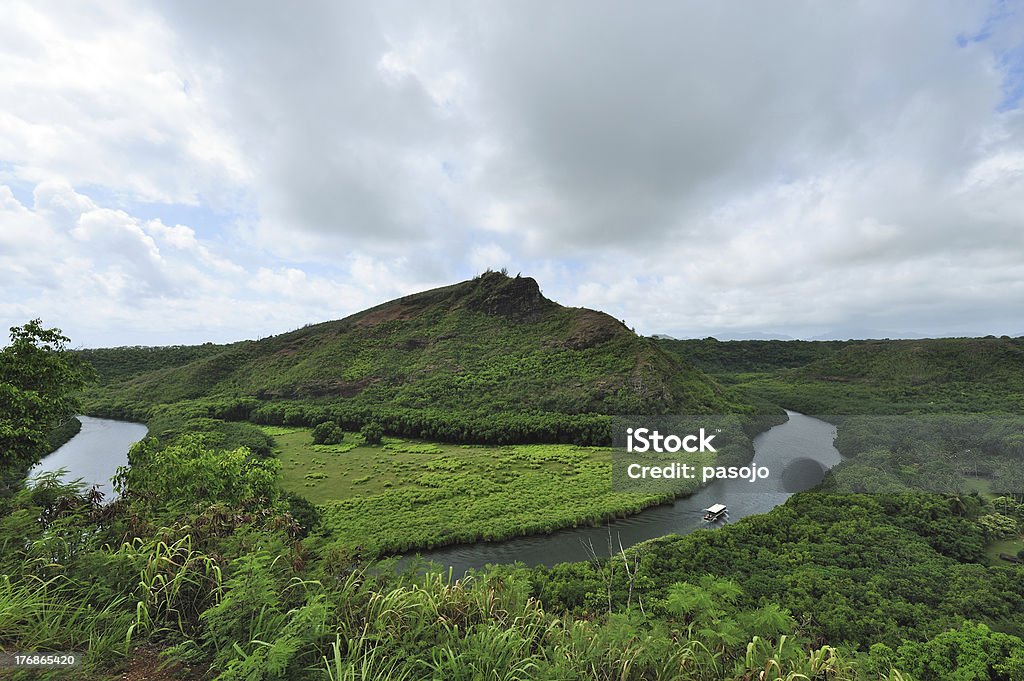 Wailua River State Park "USA, Hawaii, Kauai island,Wailua River State Park" Forest Stock Photo