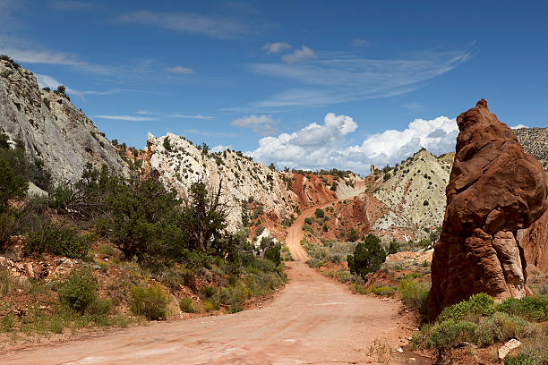 istock cottonwood canyon 176865557