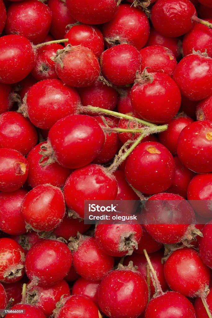 Beeren der wilden nützliche hawthorn - Lizenzfrei Alterungsprozess Stock-Foto