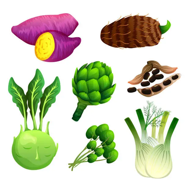 Vector illustration of set of vegetable and greens