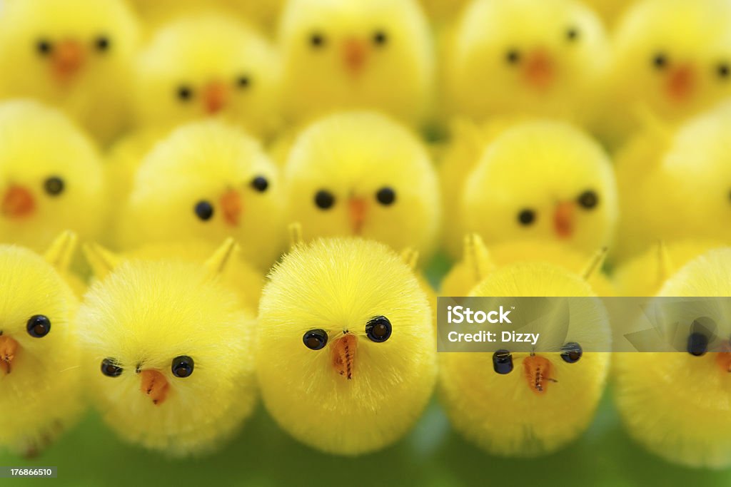 イースター：列の「chicks 」 - イースターのロイヤリティフリーストックフォト