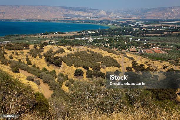 Sea Of Galilea - zdjęcia stockowe i więcej obrazów Azja Zachodnia - Azja Zachodnia, Bez ludzi, Drzewo