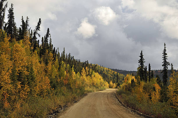 istock Taylor Highway near Chicken, Alaska 176866838