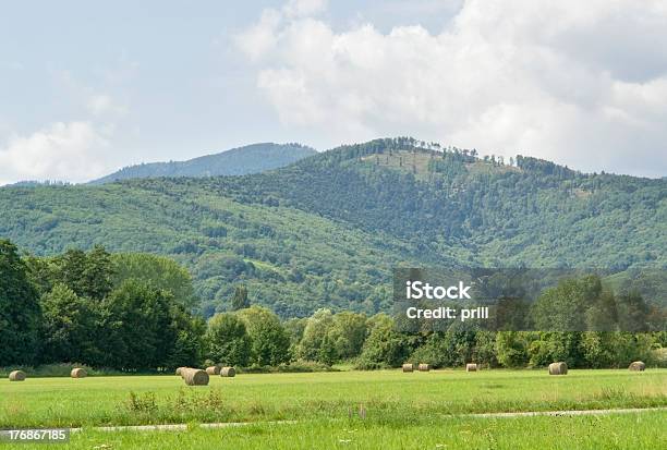 Alsace Scenery At Summer Time Stock Photo - Download Image Now - Agriculture, Alsace, Bale