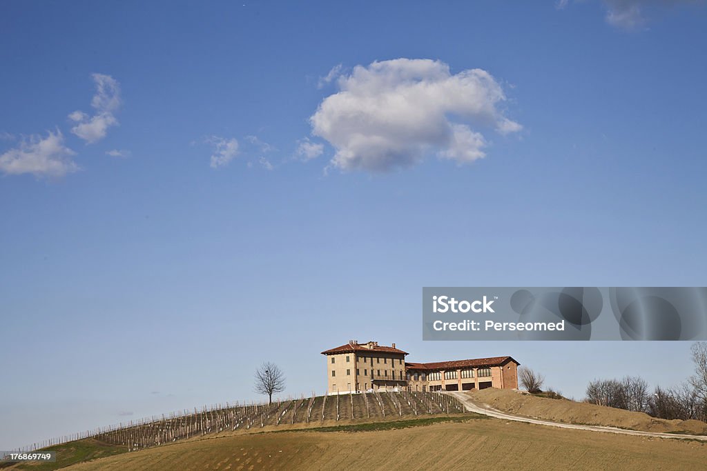 villa italiana con viñedos: Resorte de temporada - Foto de stock de Agricultura libre de derechos