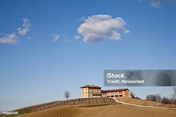 Villa Italiana Con Viñedos Resorte De Temporada Foto de stock y más banco de imágenes de Agricultura - Agricultura, Aire libre, Bodega de vino