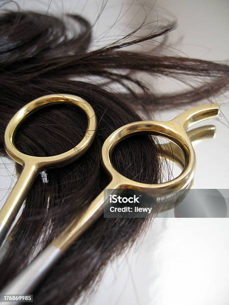 Hair Salon 6 Stock Photo - Download Image Now - Animal Hair, Animal Mane, Beauty