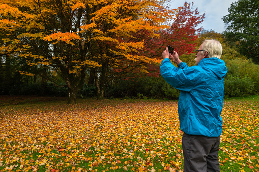 Active senior man using his mobile phone to photograph a tree on an autumn day in Scotland