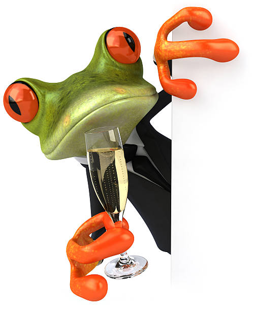grenouille d'affaires et du champagne - frog three dimensional shape animal green photos et images de collection