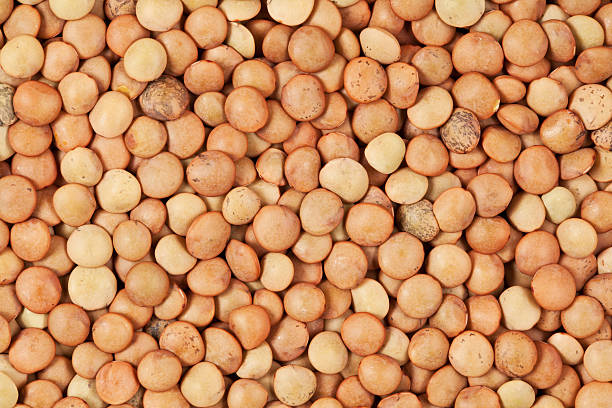 istock Macro of lentil pulse nut (lens culinaris) - background 176871641
