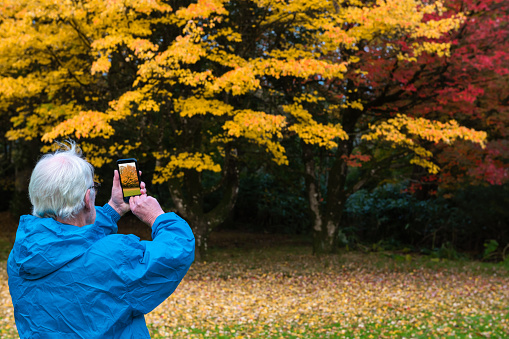 Active mature man using a mobile phone to photograph trees on an autumn day in Scotland