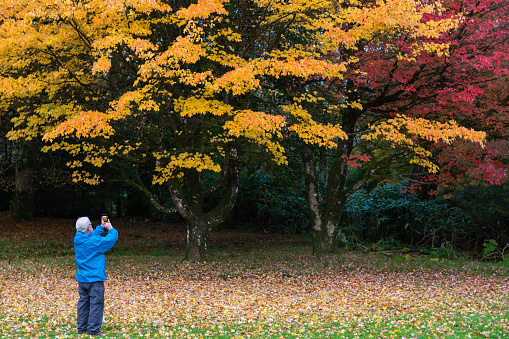 Active senior man using a mobile phone to photograph trees on an autumn day in Scotland