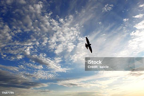 Vogel Auf Himmel Stockfoto und mehr Bilder von Bedeckter Himmel - Bedeckter Himmel, Biegung, Bildhintergrund