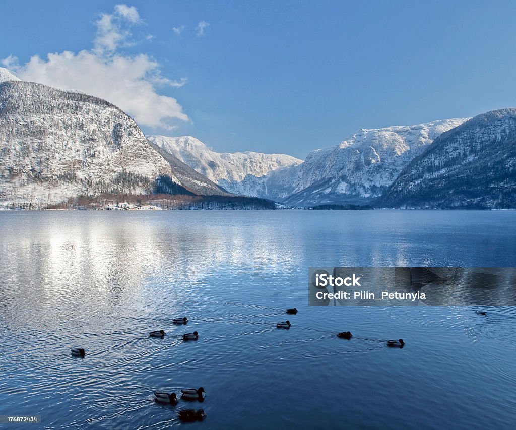 Dans les montagnes enneigées l'hiver en Autriche, à proximité du lac - Photo de Alpes européennes libre de droits