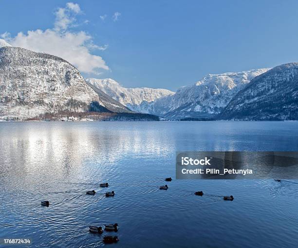 Photo libre de droit de Dans Les Montagnes Enneigées Lhiver En Autriche À Proximité Du Lac banque d'images et plus d'images libres de droit de Alpes européennes