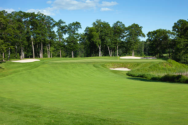 istock Golf fairway and green with bunkers 176873383