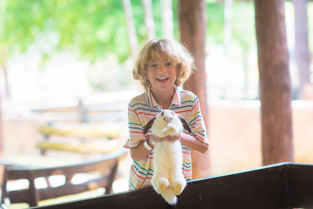 子供たちはふれあい動物園で動物に餌をやっています。 - 30063 ストックフォトと画像