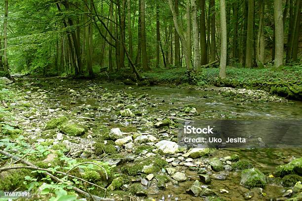 Woodland Strumienia - zdjęcia stockowe i więcej obrazów Bez ludzi - Bez ludzi, Cień, Droga jednopasmowa