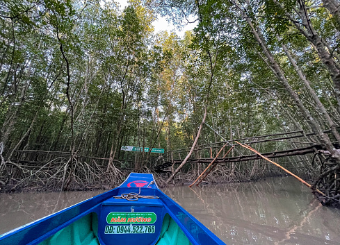 Sightseeing excursion by canoe in canals and mangrove forests, Ca Mau province