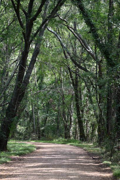 istock Bend in a country road. 1768741881
