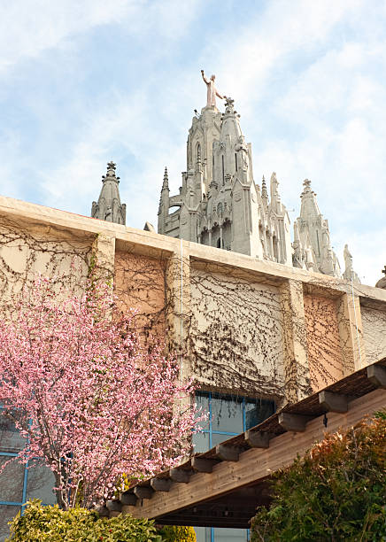 istock Almond at Tibidabo 176874453