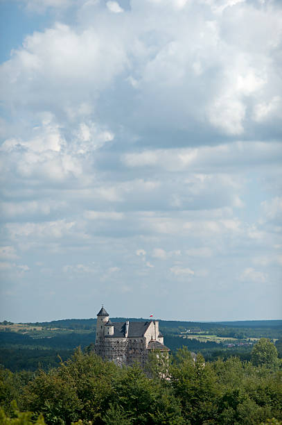 istock Fresh reconstruction of middle ages castle. Bobolice. Poland 176874606