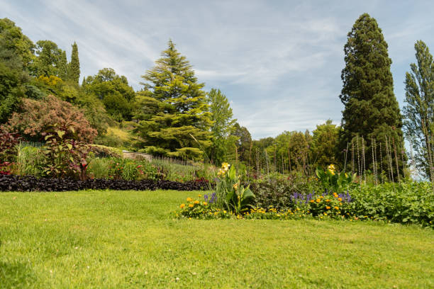 istock Beautiful plants in a park in Mainau in Germany 1768749125