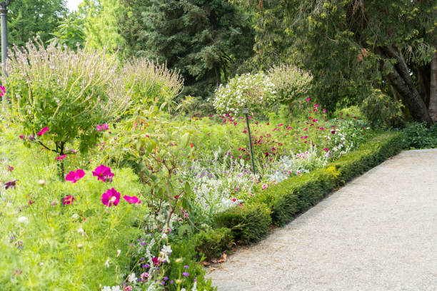 istock Beautiful plants in a park in Mainau in Germany 1768749653