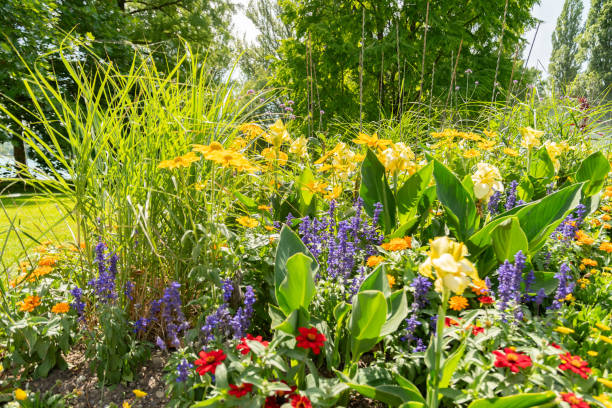 istock Beautiful plants in a park in Mainau in Germany 1768750747