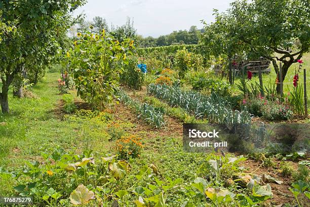 Asignación Al Jardín Foto de stock y más banco de imágenes de Jardín de la comunidad - Jardín de la comunidad, Agricultura, Aire libre