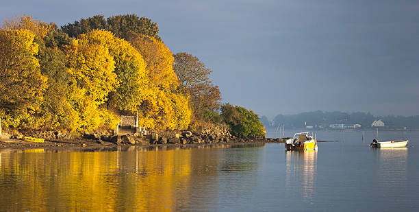 istock Wooded islets in autumn 176875308