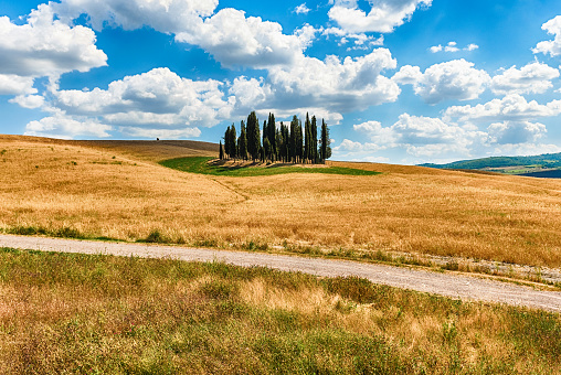 SAN QUIRICO D'ORCIA, ITALY - JUNE 23: Iconic group of cypresses in San Quirico d'Orcia, province of Siena, Tuscany, Italy, as seen on June 23, 2019