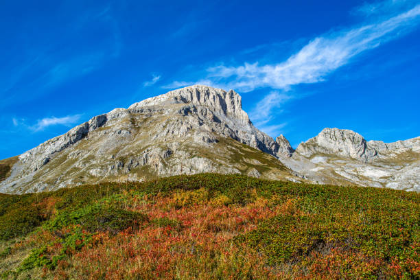 trekking otoñal en valle ellero, el corazón de los alpes marítimos, entre cima delle saline y vetta pian ballaur - vetta fotografías e imágenes de stock