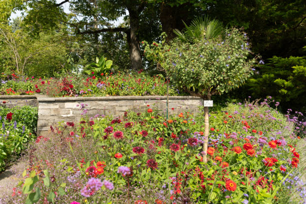 istock Beautiful plants in a park in Mainau in Germany 1768759713
