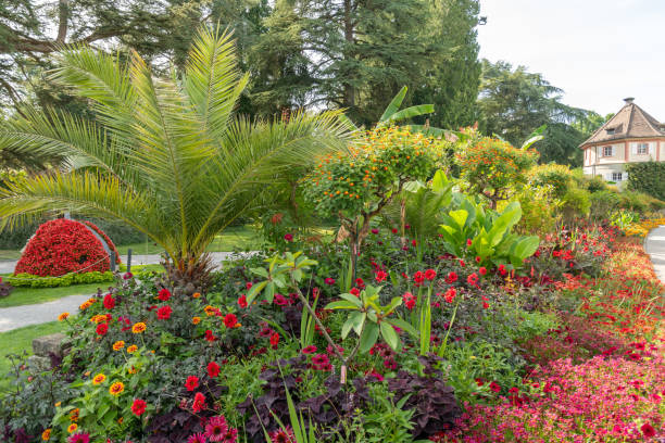istock Beautiful plants in a park in Mainau in Germany 1768760847