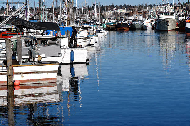 istock Overwintering Fishing Boats 176876161