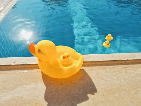 yellow rubber duck near a pool with blue water. beach holiday concept. soft focus. copy space